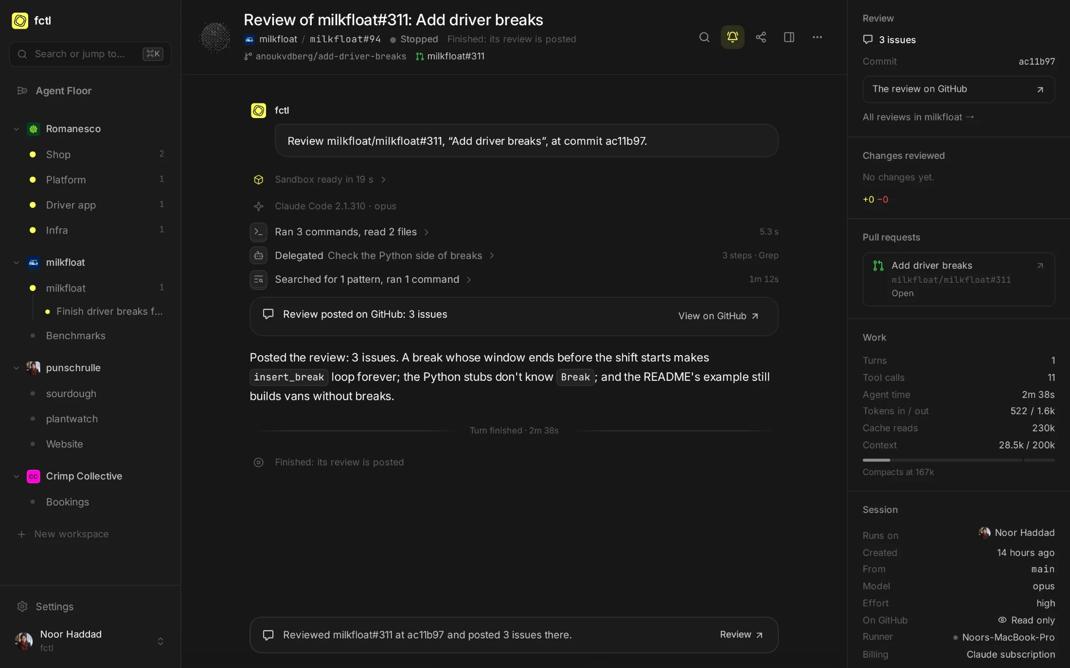 The review of Anouk's pull request, which Noor asked for: three issues, posted on GitHub.